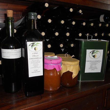 Agriturismo Le Macine Флоренция Екстериор снимка